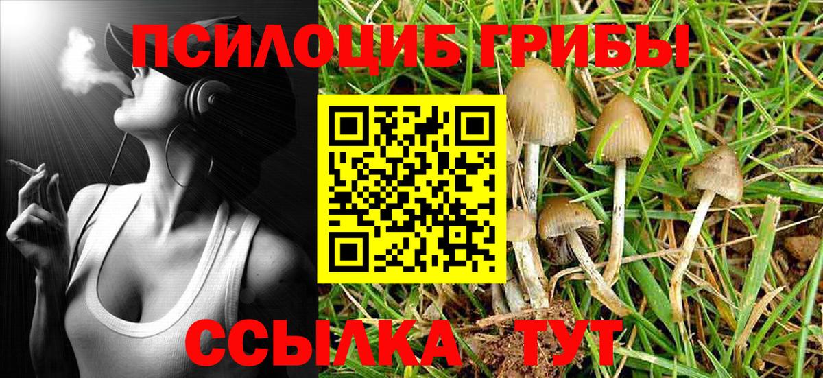 Псилоцибиновые грибы MAGIC MUSHROOMS  Вход с VPN  где купить наркоту  Ливны 